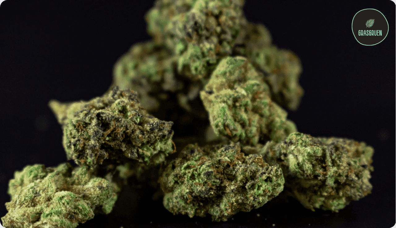 Nahaufnahme einer Cannabisblüte mit grünen und braunen Farbtönen.